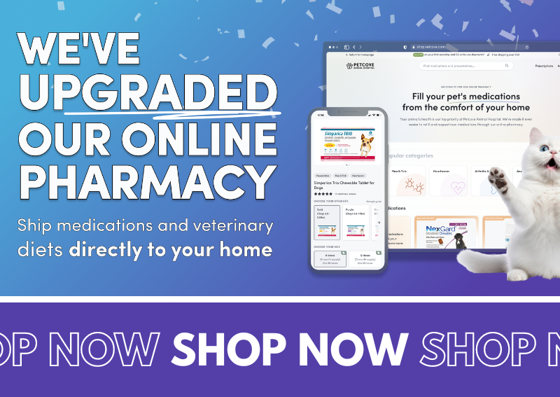 Carousel Slide 2: Order from our new online pharmacy!
